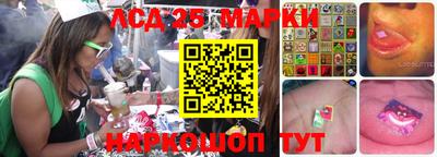 МДПВ Новозыбков