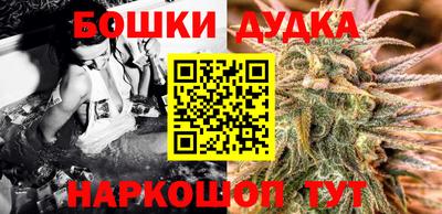 индика Новокубанск