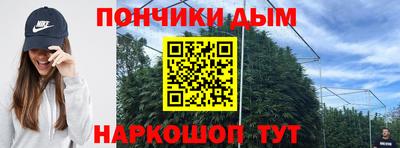 индика Новокубанск