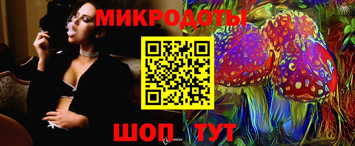 Псилоцибиновые грибы Psilocybine cubensis Северобайкальск